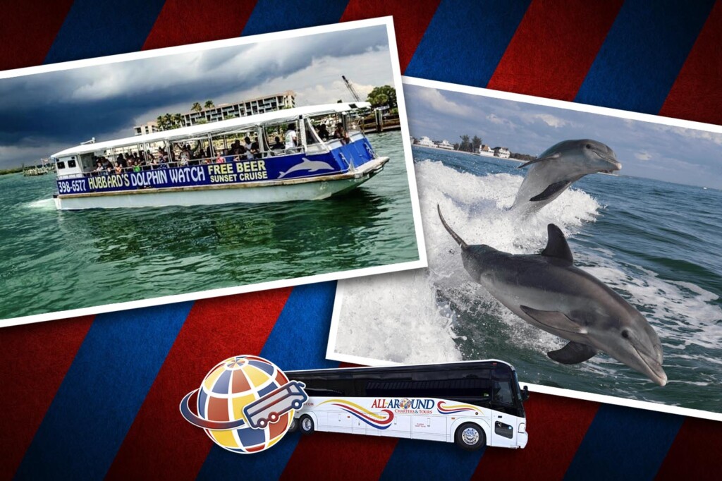 dolphin cruises johns pass