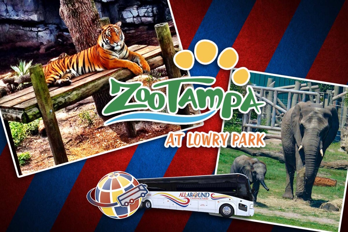 Fun Day Trips! All Around Charters